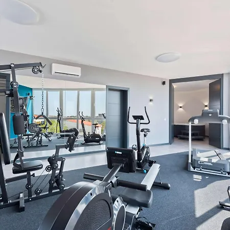 Premium In With Sauna Vakantiehuis Vir